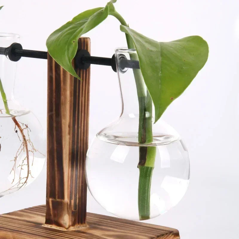 Suporte Decorativo com Vasos de Vidro para Plantas Hidropônicas
