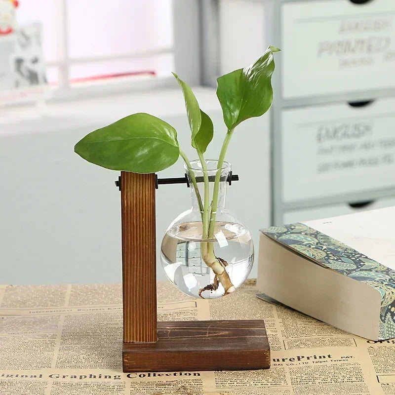 Suporte Decorativo com Vasos de Vidro para Plantas Hidropônicas