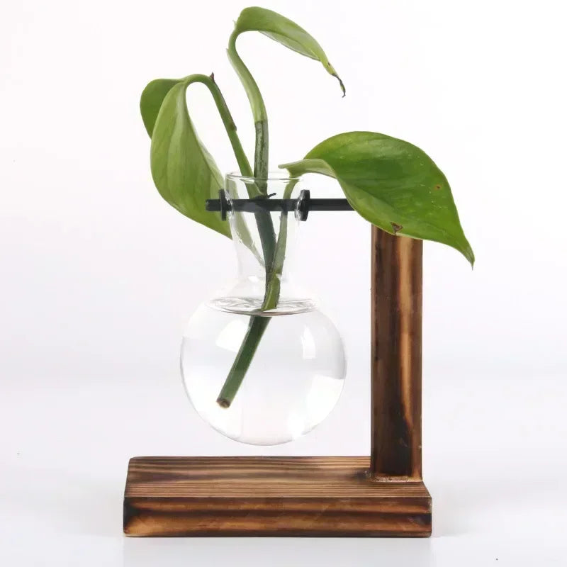 Suporte Decorativo com Vasos de Vidro para Plantas Hidropônicas